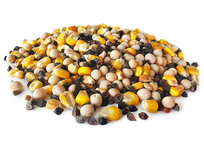 Ultimate Partikel Mix 5KG